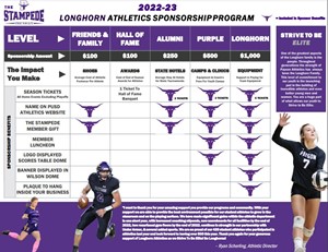 Longhorn Athletics Sponsorship Program